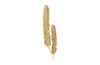 Feathers Wall Art, Gold Leaf, Set of 2, Large