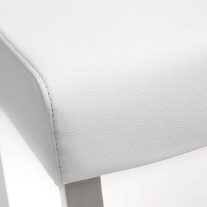 Denmark White Stainless Steel Counter Stool (Set of 2)