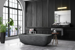 Baden 2 Light Vanity in Matte Black Finish