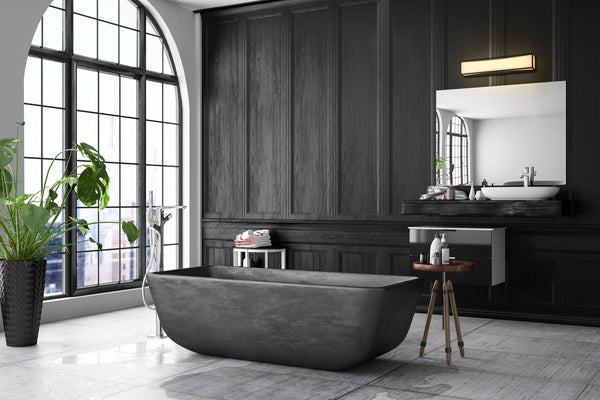 Baden 2 Light Vanity in Matte Black Finish