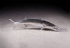 Barracuda Fish Silverleaf