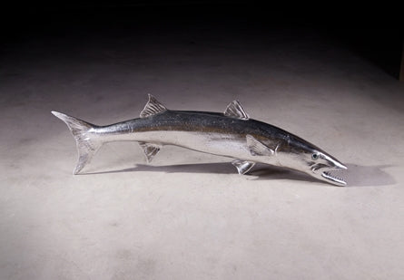 Barracuda Fish Silverleaf