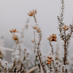 In The Details Ii By Annie Spratt
