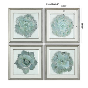 Natural Beauties Framed Prints