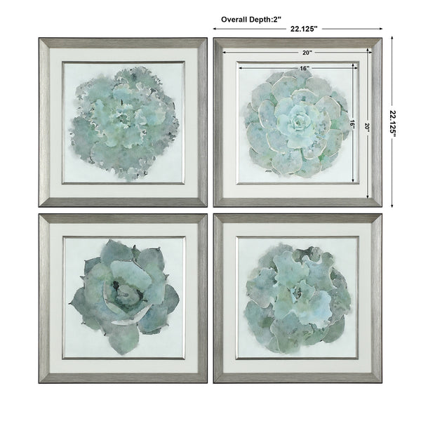 Natural Beauties Framed Prints