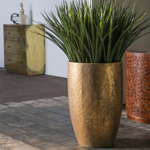 Liriope Grass in Hammered Suza Planter