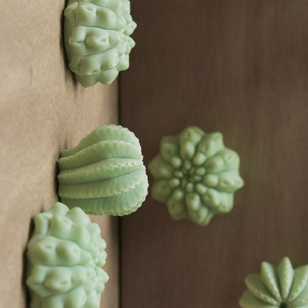 Wall Play, 'Cactus', dark green Set/2