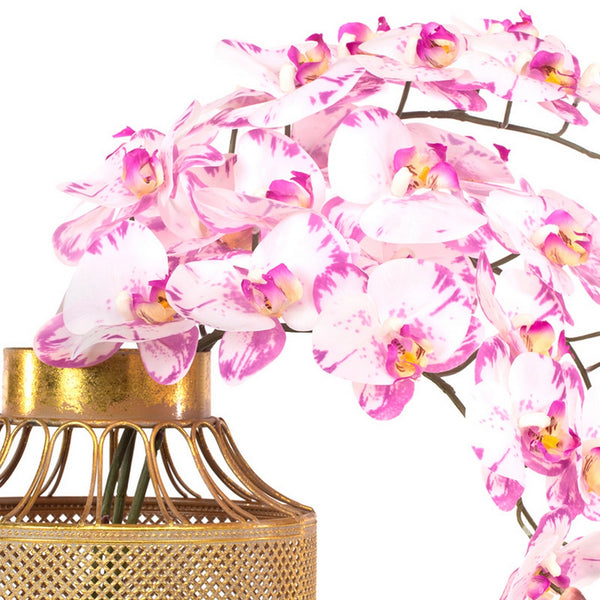 Spotted Phalaenopsis Orchids in Ornata Vase