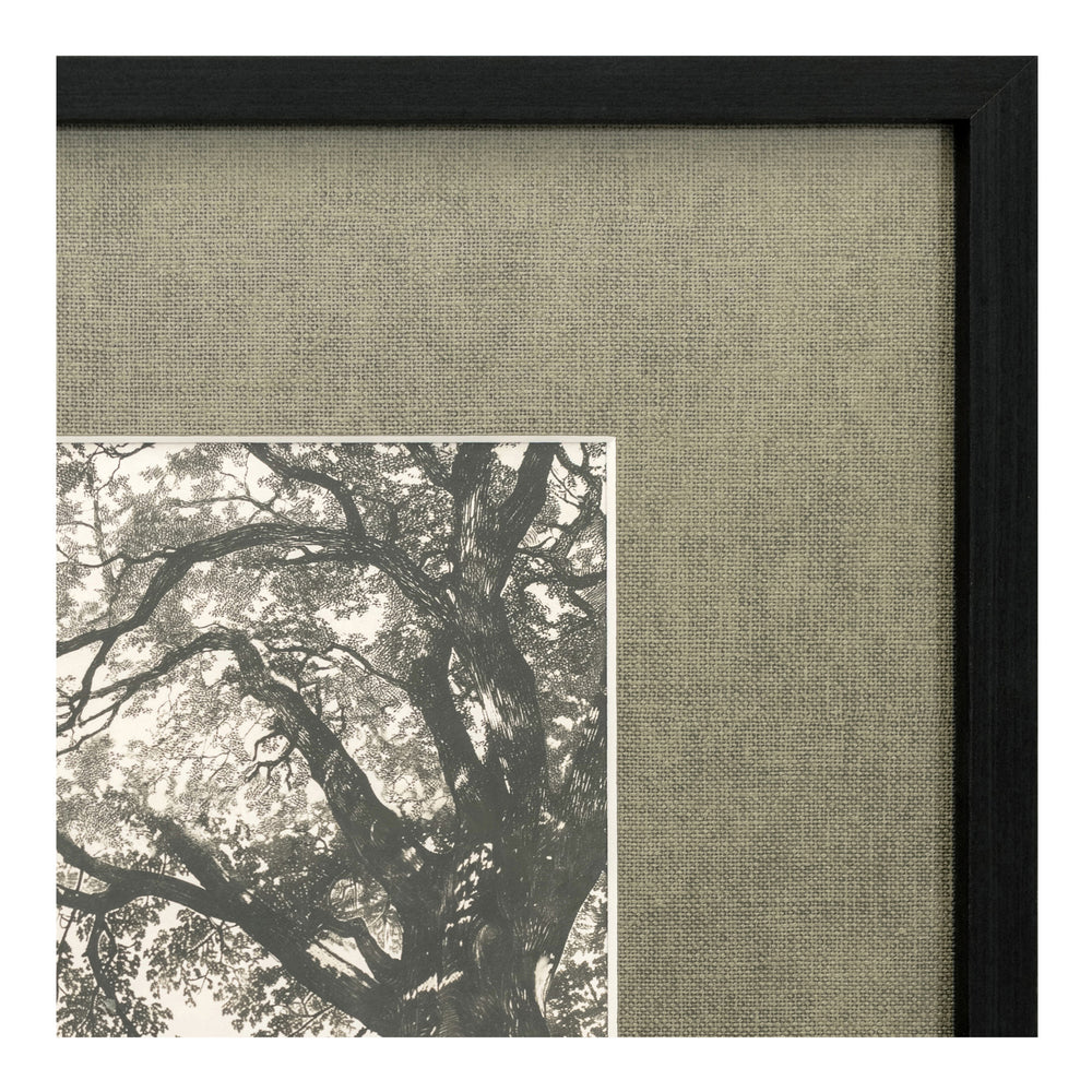Moe's Arise Framed Print with Solid Wood Frame
