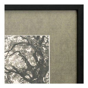 Moe's Arise Framed Print with Solid Wood Frame