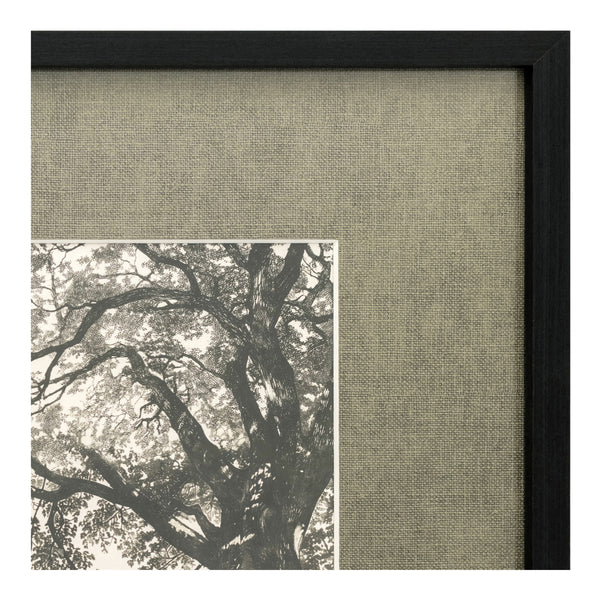 Moe's Arise Framed Print with Solid Wood Frame