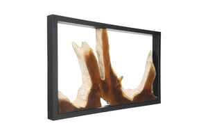 Framed Root Wall Art, Rectangle, Black