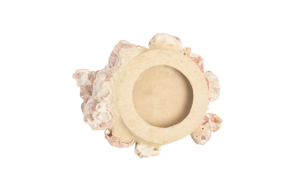 Barnacle Cluster Wall Art, Medium