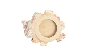 Barnacle Cluster Wall Art, Medium