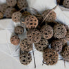 Sweetgum Balls, +/- 44 pcs