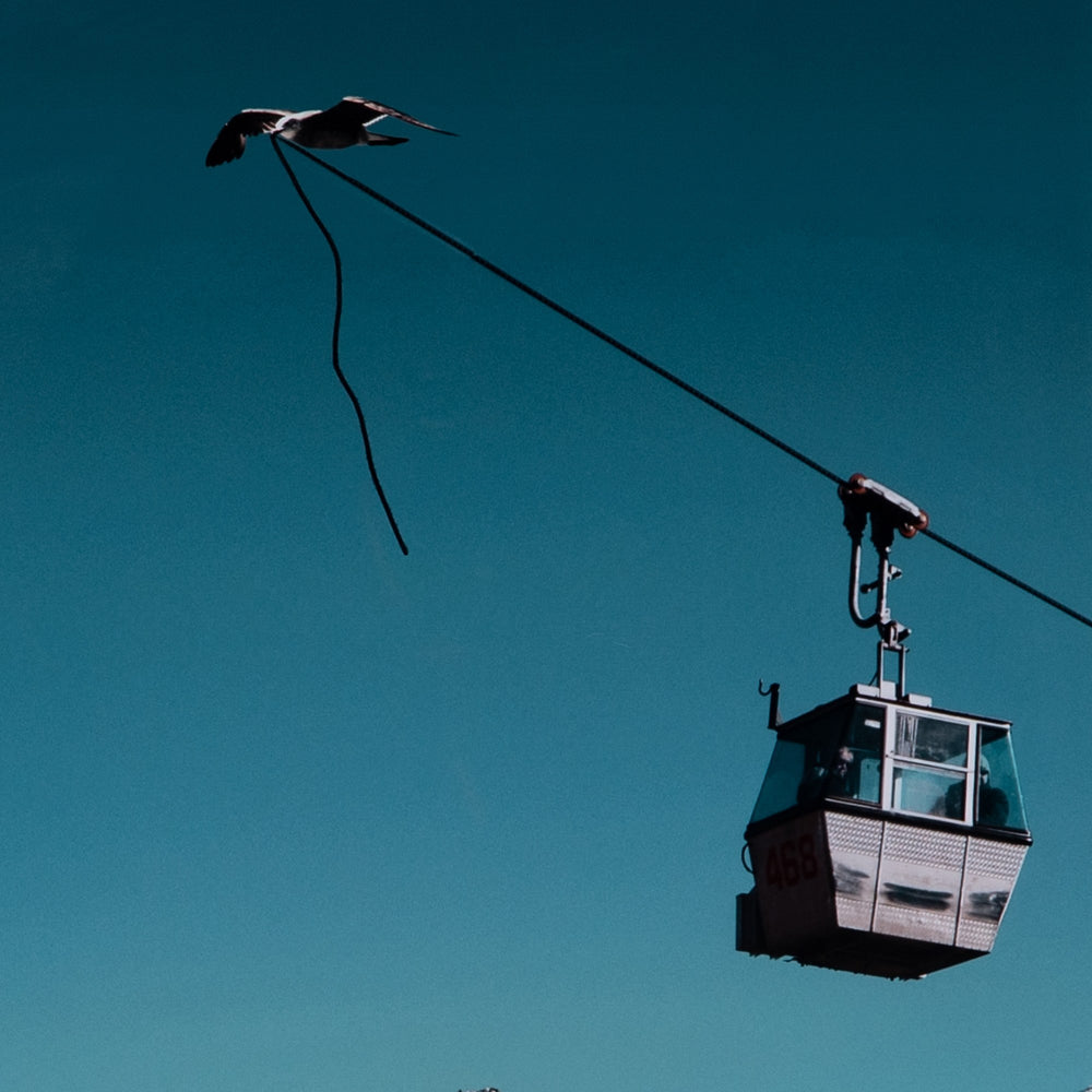 Free Your Imagination By Monica Carvalho