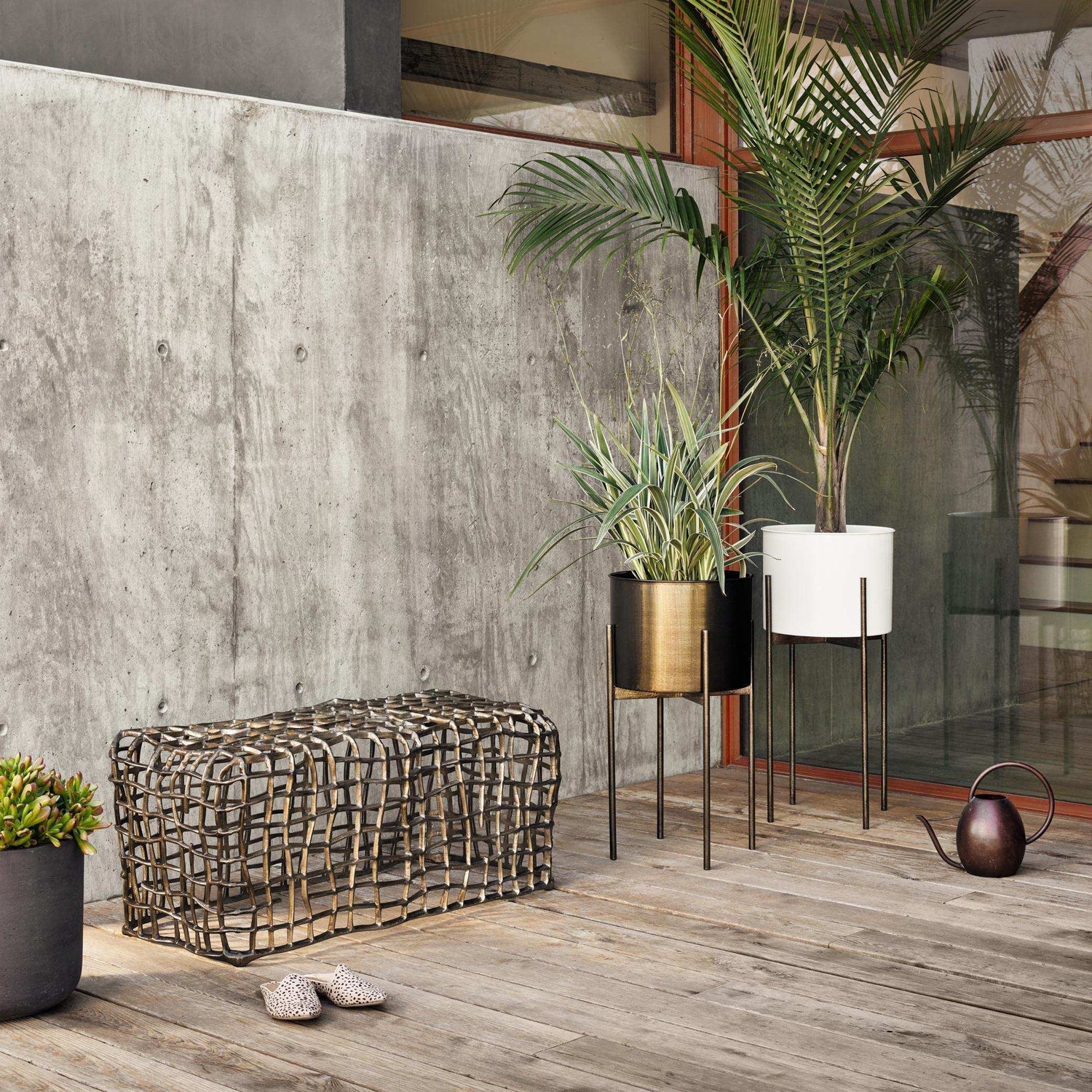 Plants + Garden