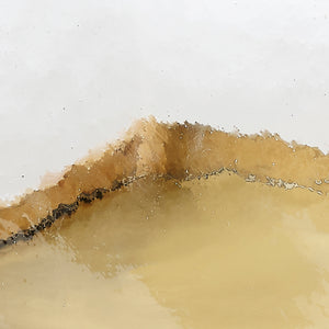 Rhine Burl Wood and Glass Hurricane 