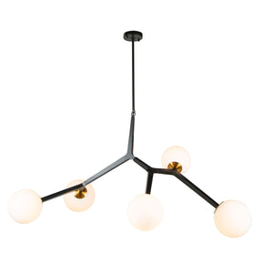 Ravello 5 Light Pendant in Black & Harvest Brass