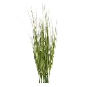 36" Japanese Silver Grass, unpotted 19 bunch set