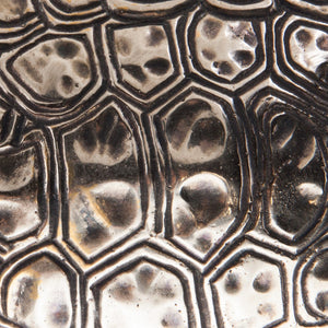 Turtle Shell Paper Weight & Wall Décor