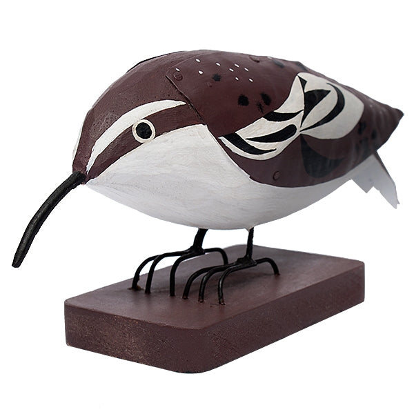 Brown Creeper, Wood Bird