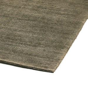 Blanton Outdoor Rug in Olive 8'x10''