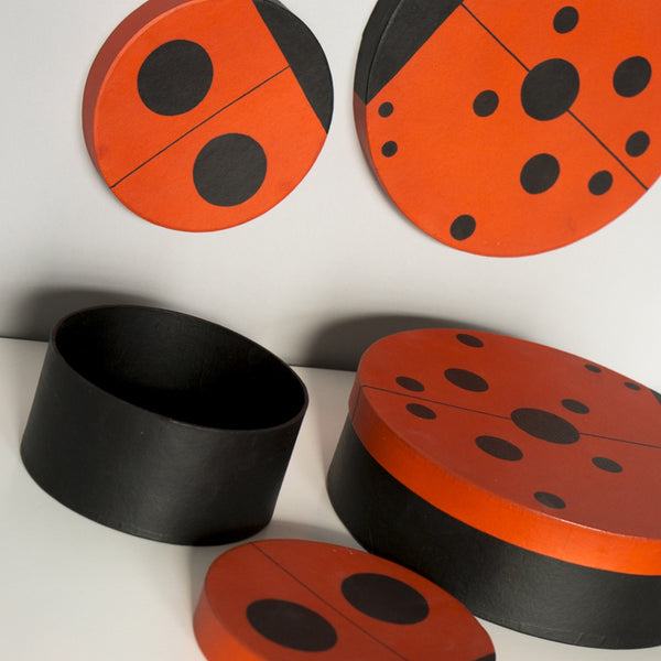 Box 10"D Ladybug Convergent