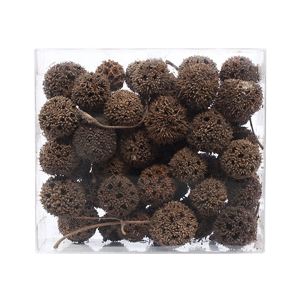 Sweetgum Balls, +/- 44 pcs