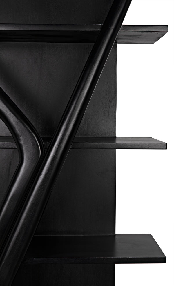 Vetra Teak and Veneer Bookcase in Hand-Rubbed Black
