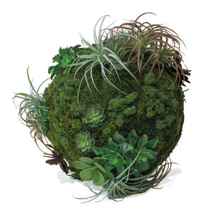 California Mix Moss Sphere