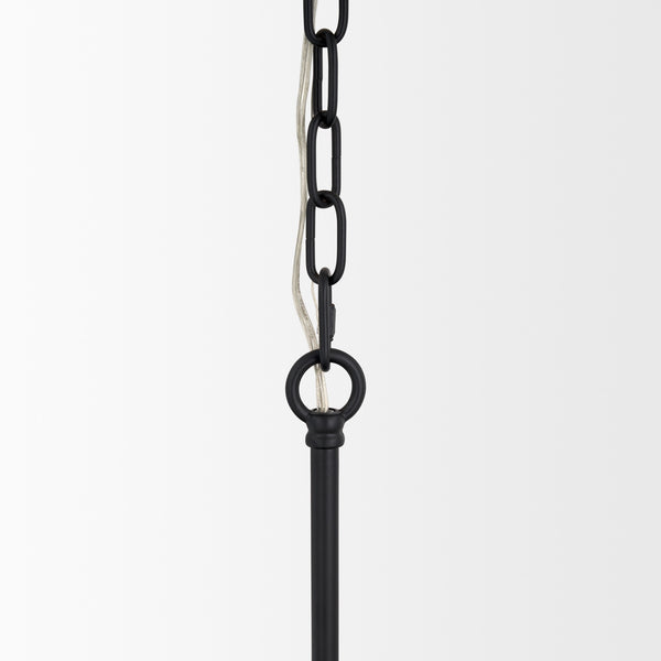 Edie Matte Black Metal w/ Frosted Glass Globes 6-Light Chandelier