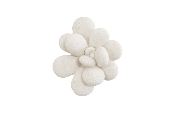 Oviferum Succulent Wall Art , White Stone