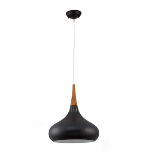 Tadeo Pendant