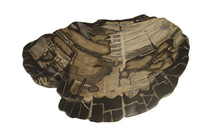 Cast Petrified Wood Stool In Brown & Grey