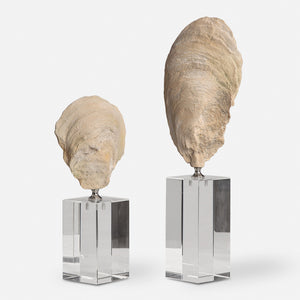 Oyster Shell Sculptures