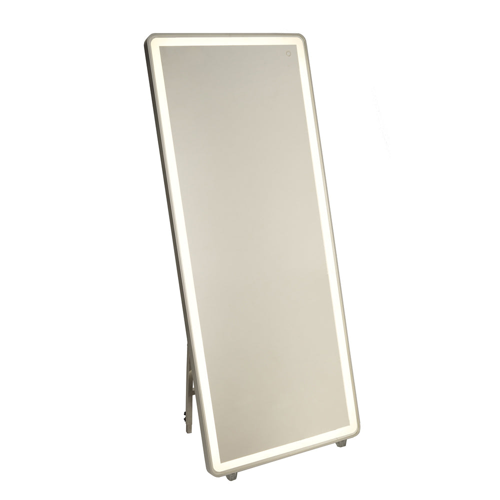 Reflections AM311 Mirror in Brushed Aluminum