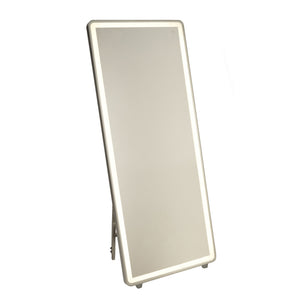 Reflections AM311 Mirror in Brushed Aluminum