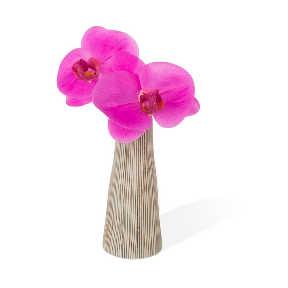 Contour Cone Vase with Fuchsia Phalaenopsis Orchid