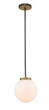 Parsons 1 Light Pendant in Matte Black + Olde Brass Finish