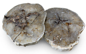 Lastra Coffee Table Duo