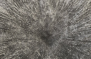 Lotus Wall Art, Silver/Black, Medium