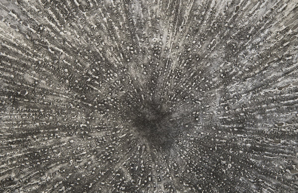 Lotus Wall Art, Silver/Black, Medium