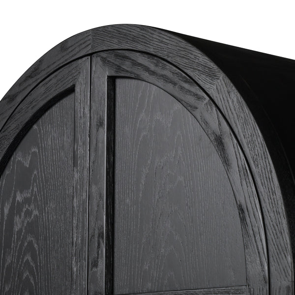 Tolle Panel Door Cabinet In Drifted Mat Blk