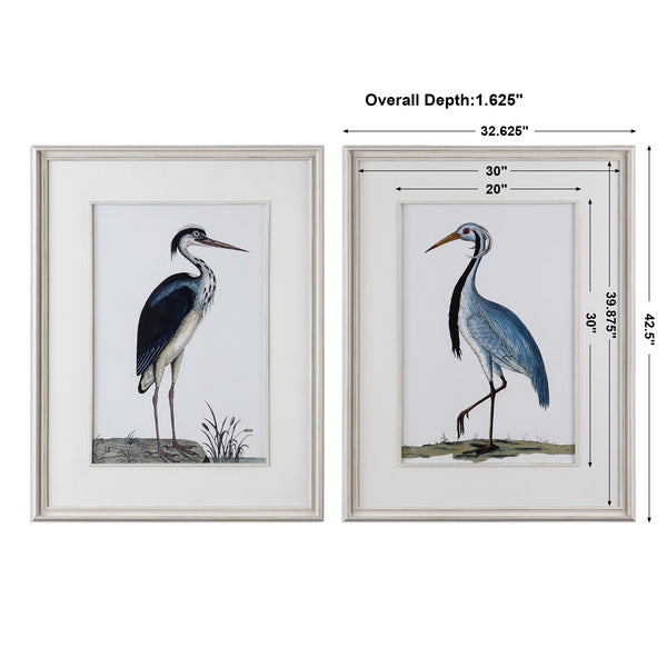 Shore Birds Framed Prints