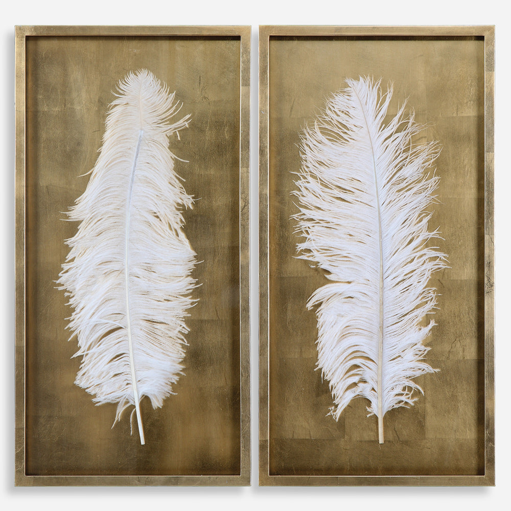 White Feathers Shadow Box