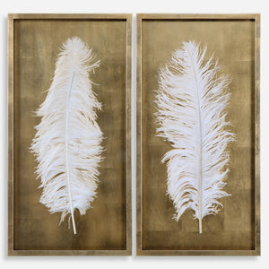 White Feathers Shadow Box