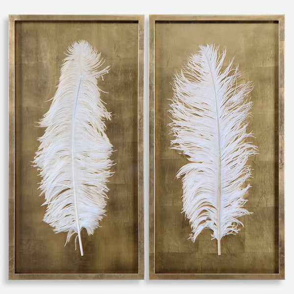 White Feathers Shadow Box