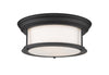 Sonna 2 Light Flush Mount in Matte Black Finish