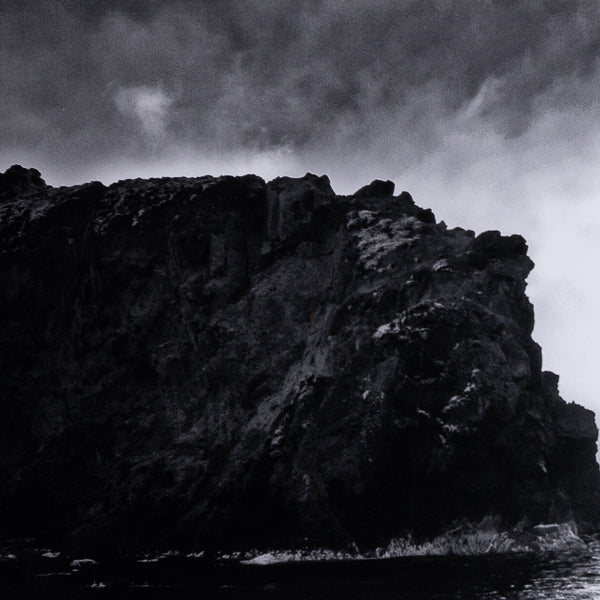 Big Sur By Gold Rush Art Co Zoe Bios In Bla